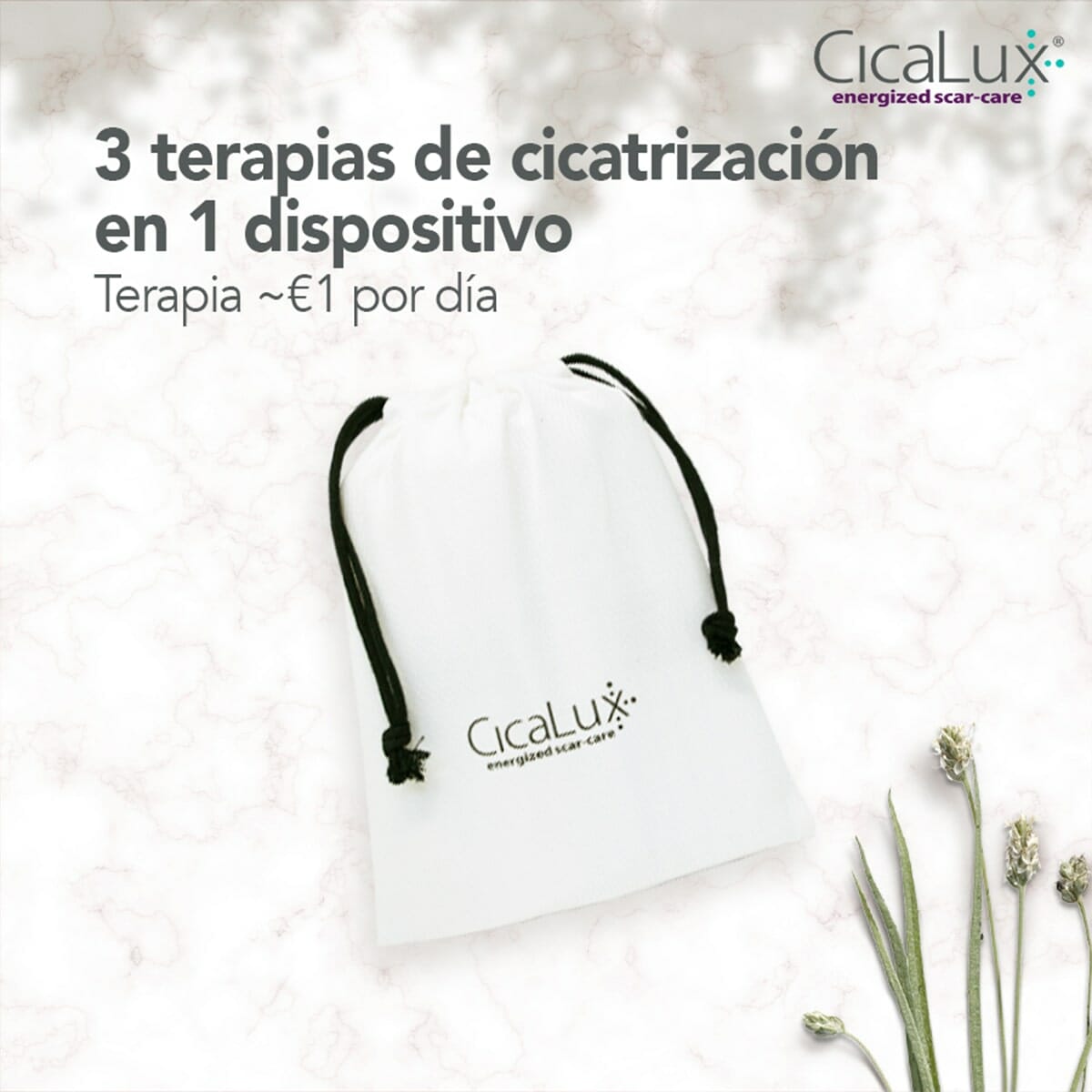 Contenido para redes sociales de CicaLux